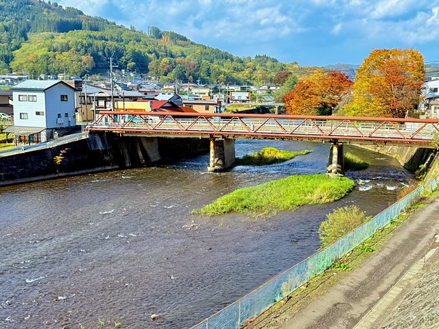 紅葉した大木と空