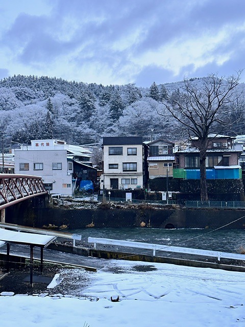 霧氷に包まれた大木