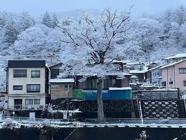 雪降る町並み