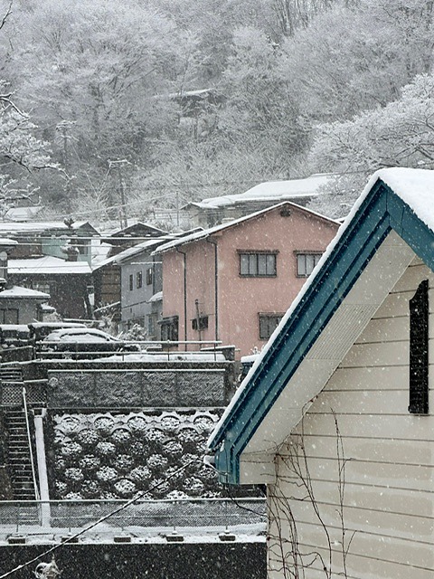 雪山と町を見下ろす