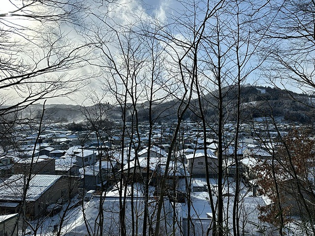 雪の一戸大橋と町並み