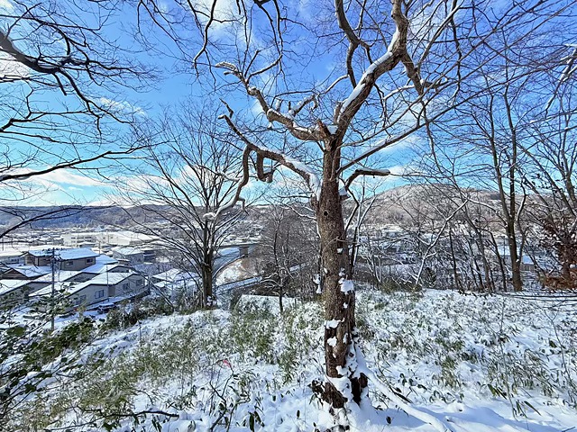 馬淵川沿いの風景