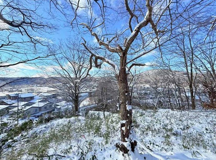 雪山の斜面から望む一戸の眺め