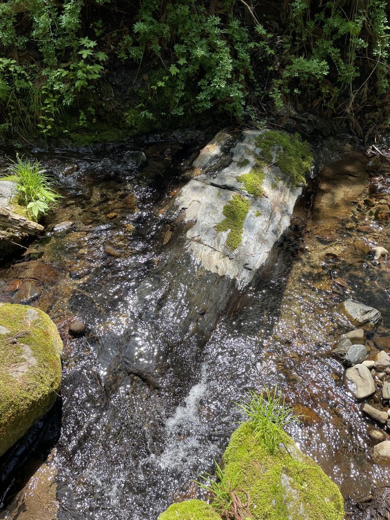 苔むした岩の間を流れる清流