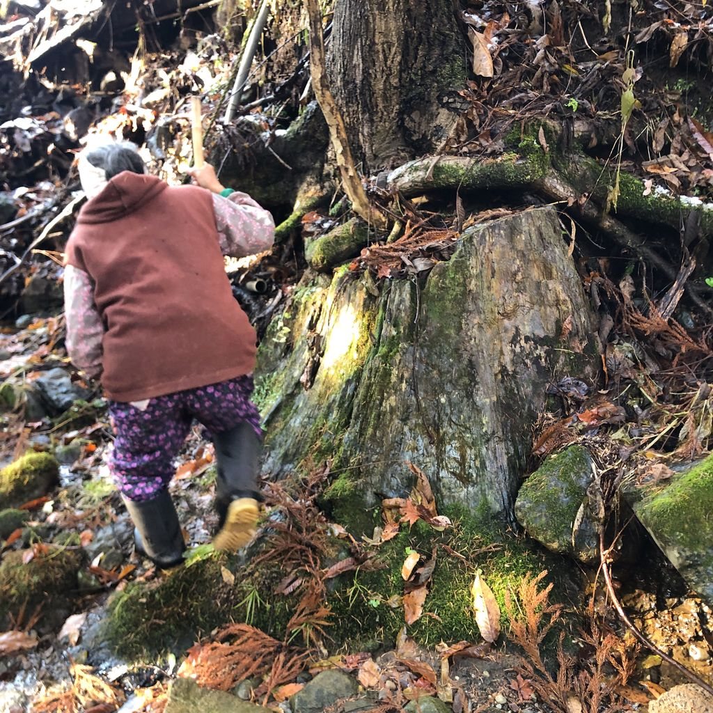 苔むした珪化木の切り株と、沢を歩く人の後ろ姿