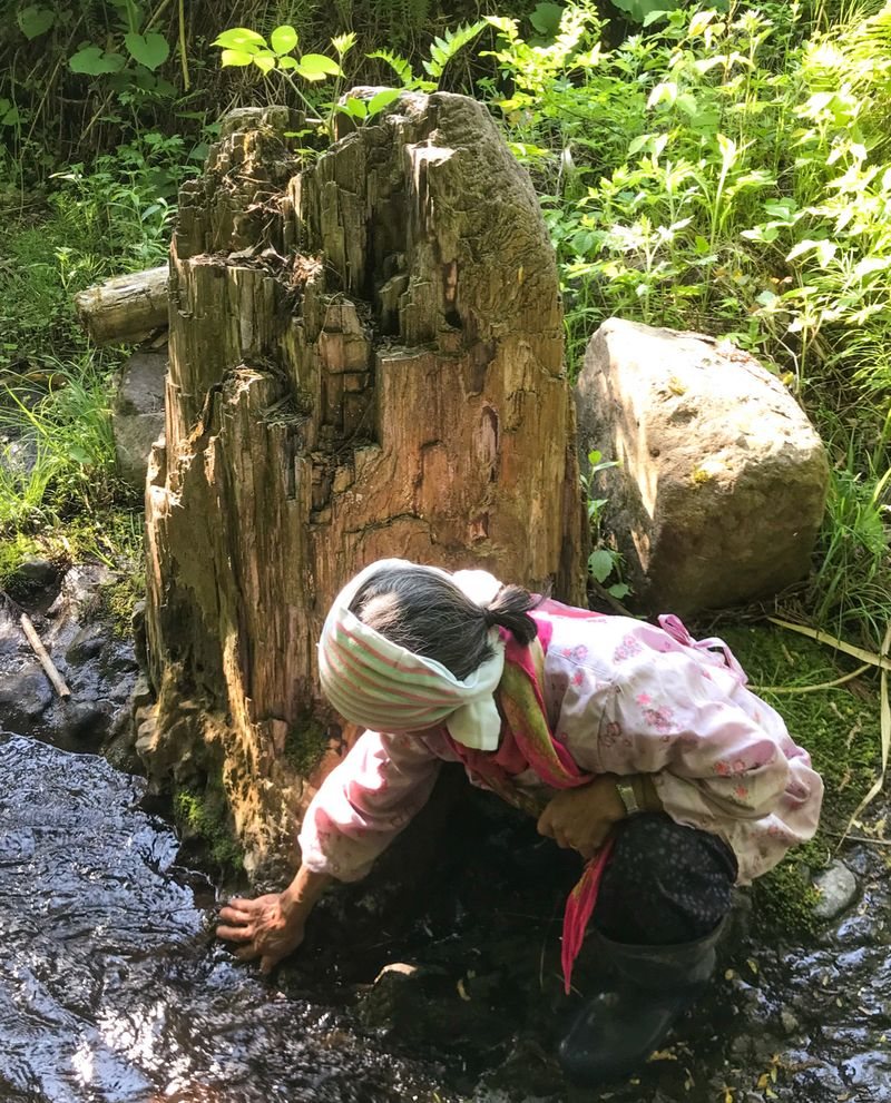 珪化木の前で、沢の水に手をのばす